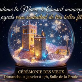 F524497f voeux