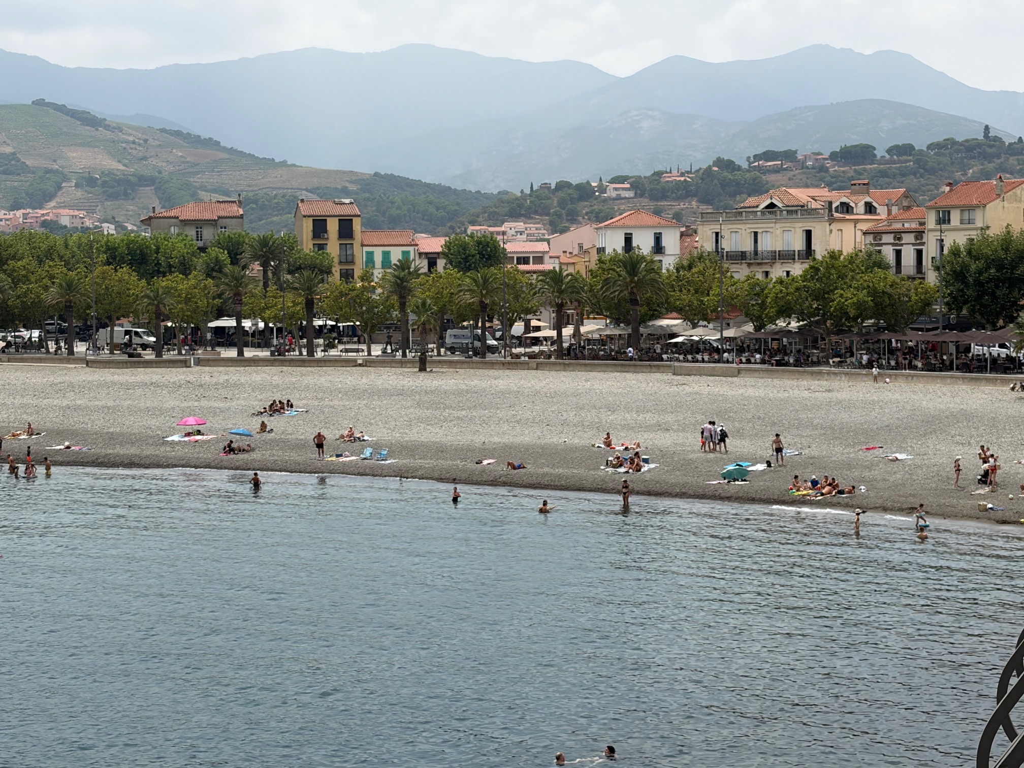 78c79815 img 1040