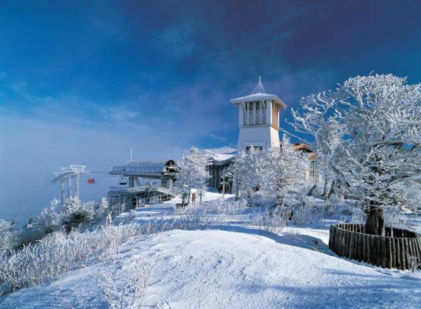 tour-oversea-south-korea-ski-16