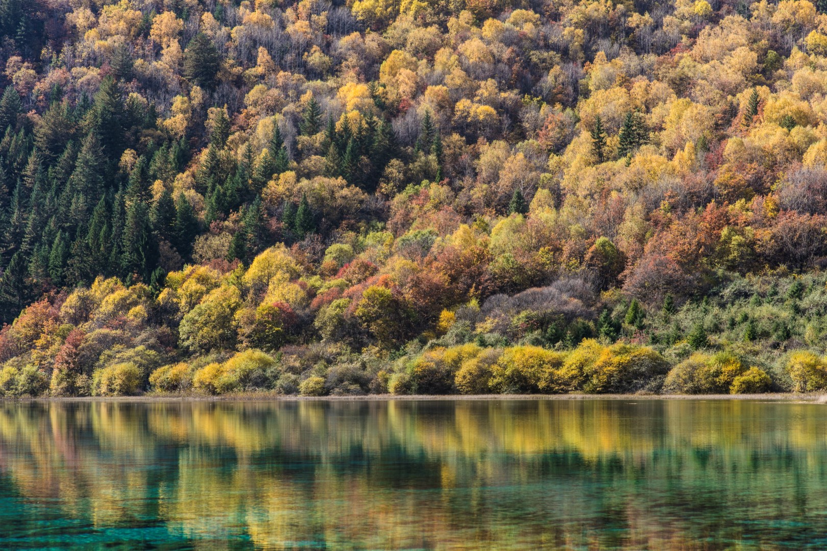 pic-jiuzhaigou-170320-06