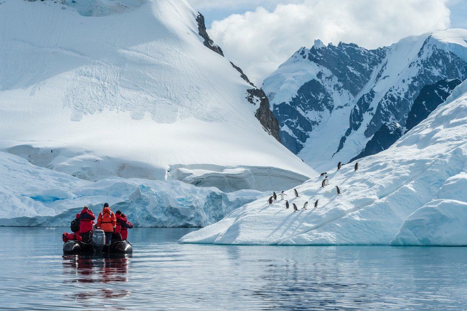 activity-toursforfun-talk-005-170421-antarctica-4