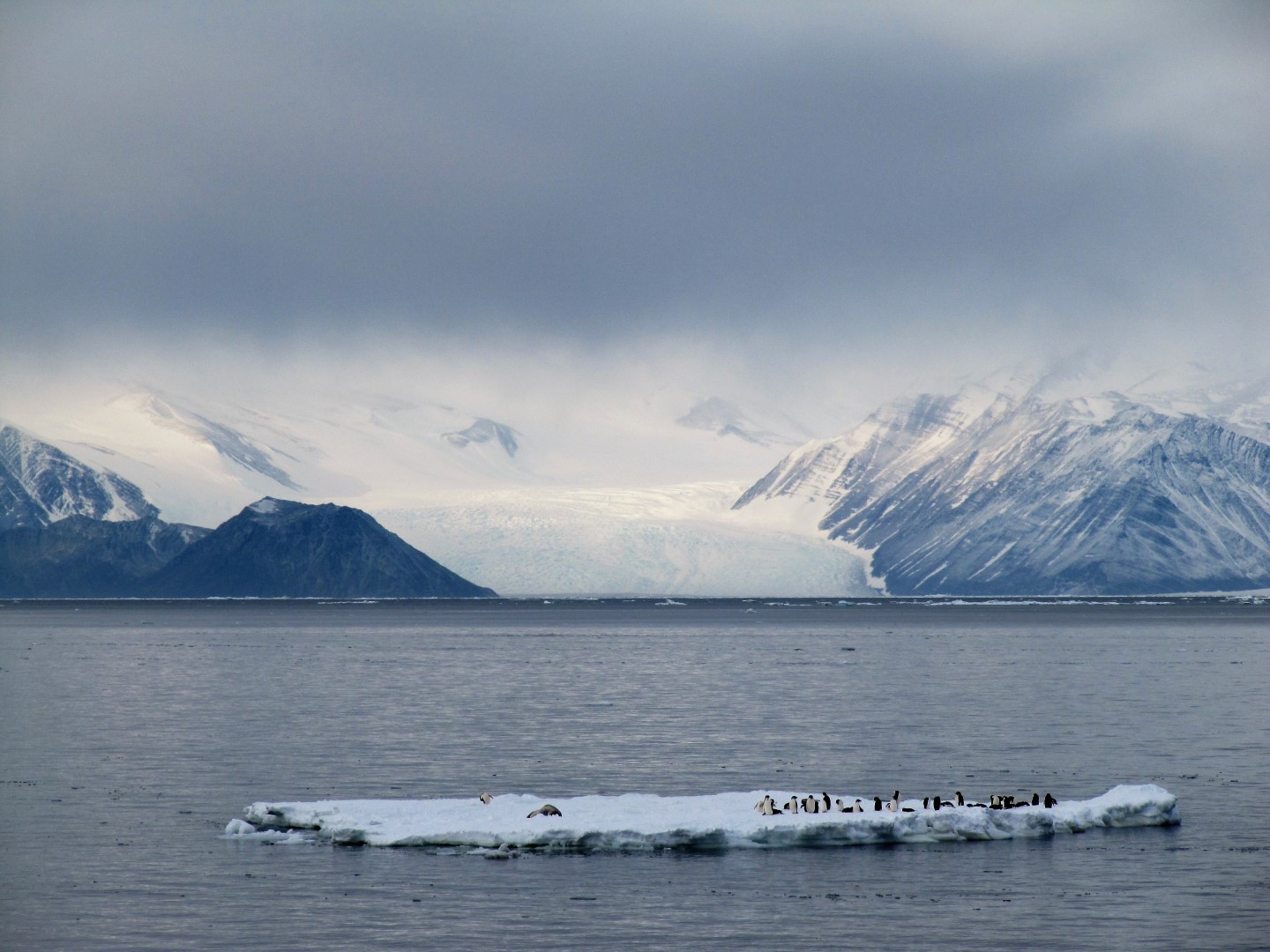 remark-book-antarctica-earth-of-dream-1