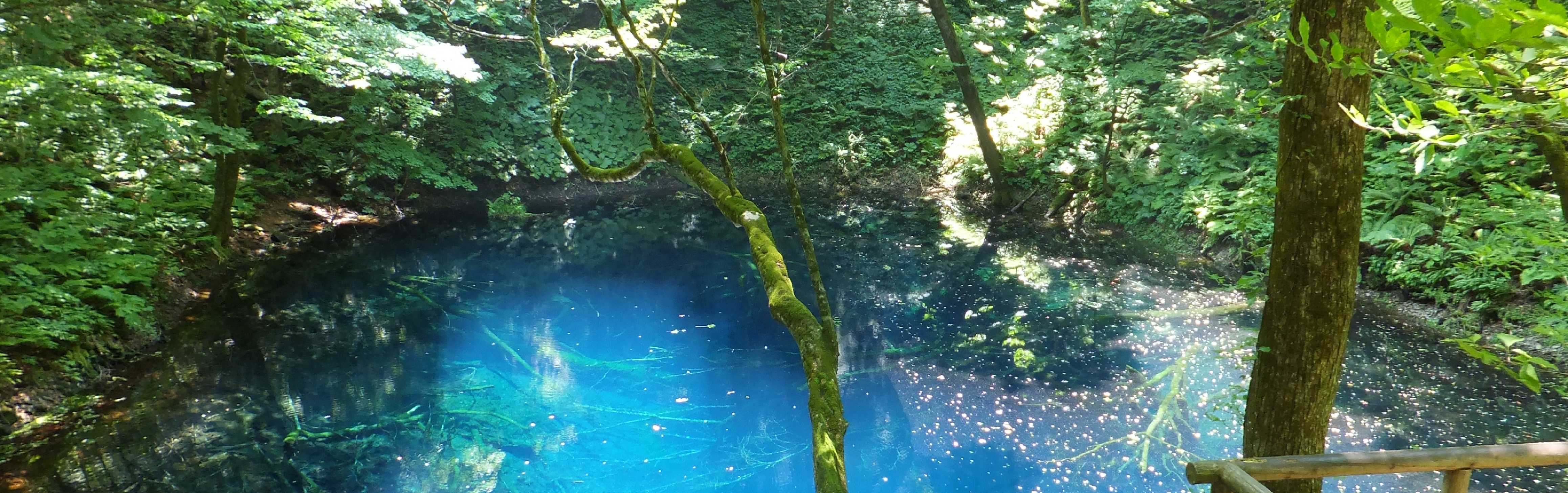 世界遺產白神山地青森秘境療癒慢旅 一路報導