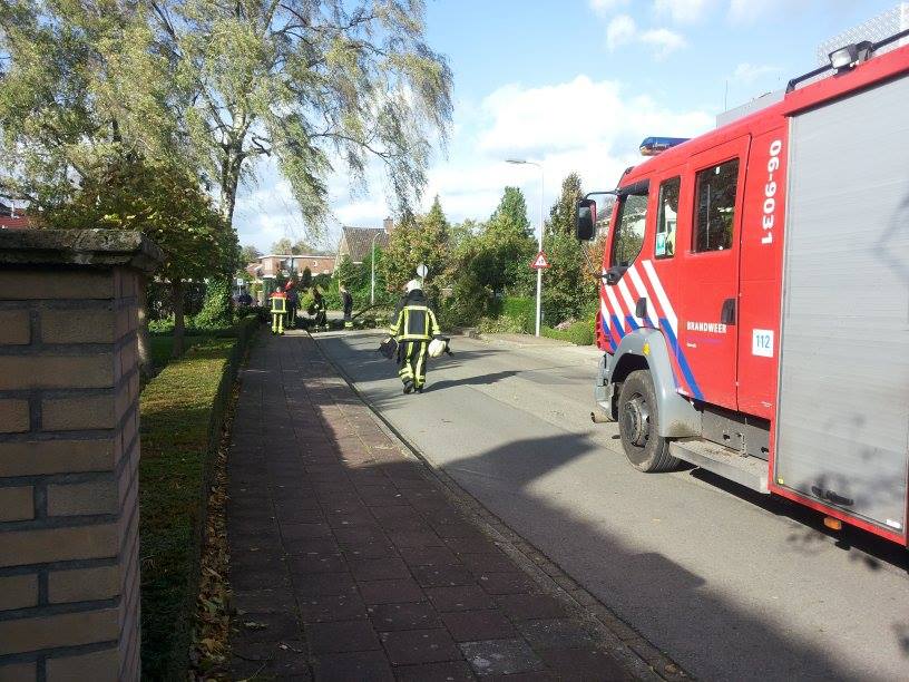 1378809_657418720964696_92687872_n Foto’s: stormachtige dag in Borculo