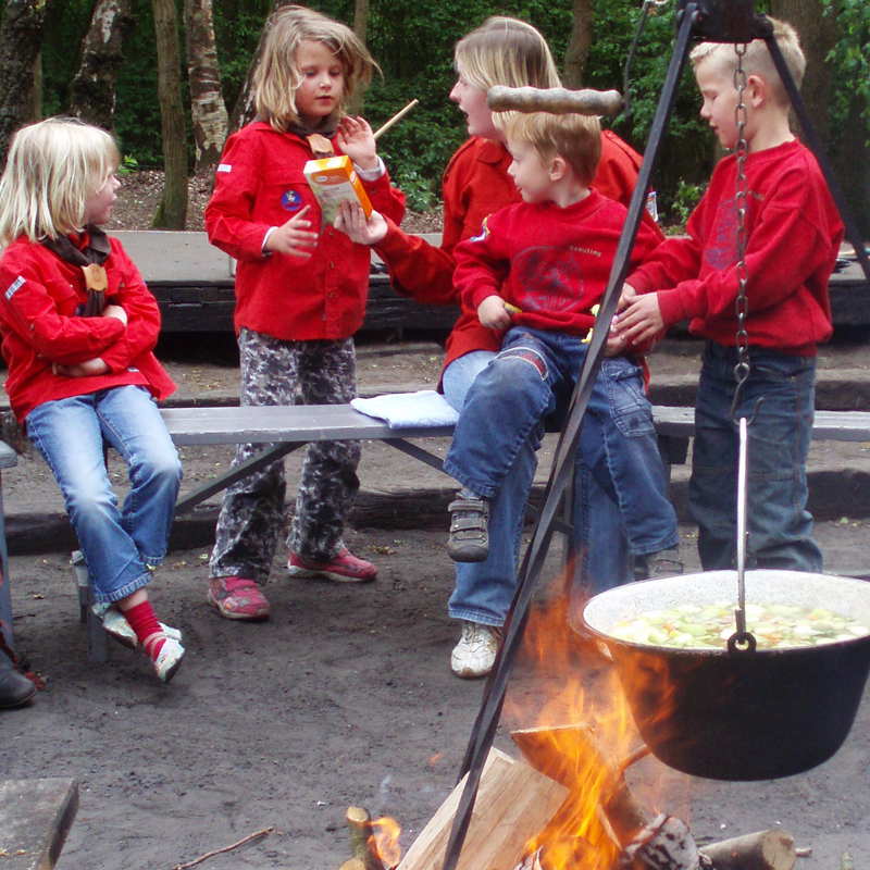 scouting borculo Scouting Borculo zoekt jou!