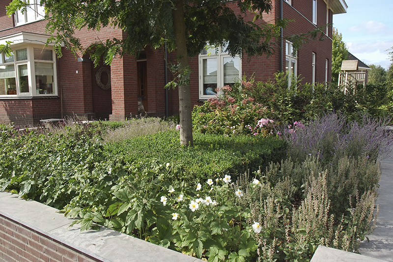 Wat wordt de mooiste tuin van Ruurlo of Borculo 2015 Wat wordt de mooiste tuin van Ruurlo of Borculo 2015?