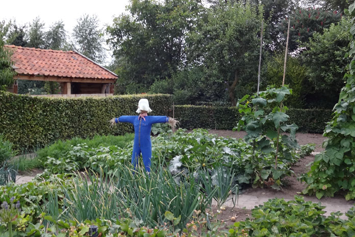 Tuinkeuring-Sier–en-moestuin-Groei-&-Bloei Tuinkeuring Sier- en moestuin Groei & Bloei