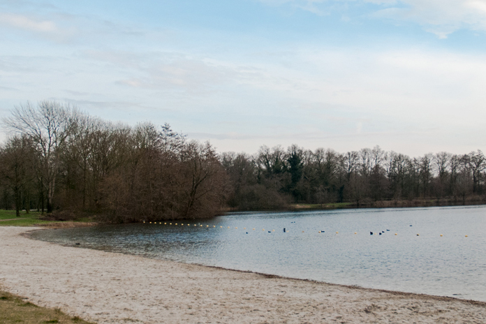 Blauwalg in Hambroekplas, niet zwemmen