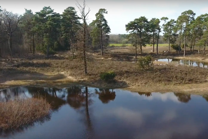 Prachtige-video-Galgenveld-natuur-Borculo Prachtige beelden van natuur in Borculo