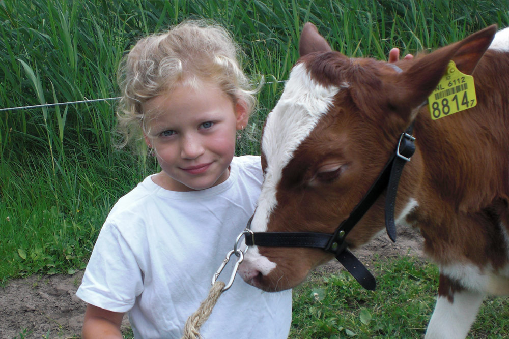Verzorg-een-kalf-bij-Kind,-Kalf-en-Keuring Verzorg een kalf bij Kind, Kalf en Keuring