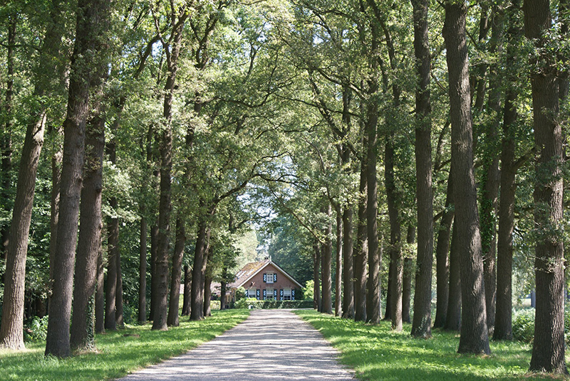 Foto’s: Fiets4Daagse dag 2 door Achterhoekse omgeving