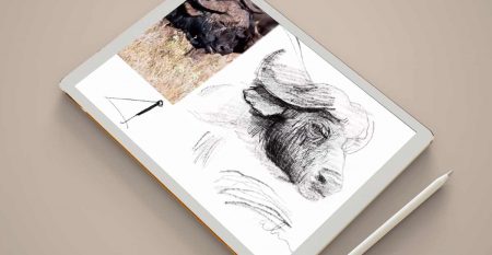 Learn-sketching-Online_Penciltuts Learn-sketching-Online_Penciltuts