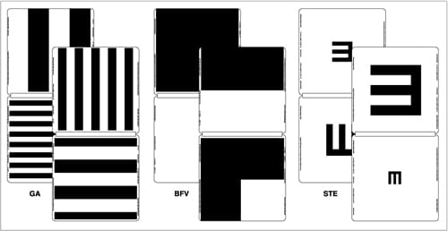 Berkeley Rudimentary Vision Test Layout