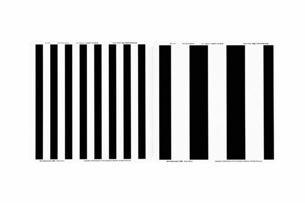 BRVT The Berkeley Rudimentary Vision Test - Image 10