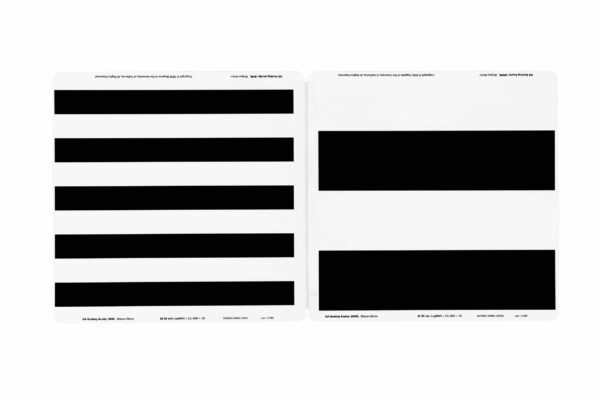 BRVT The Berkeley Rudimentary Vision Test - Image 3