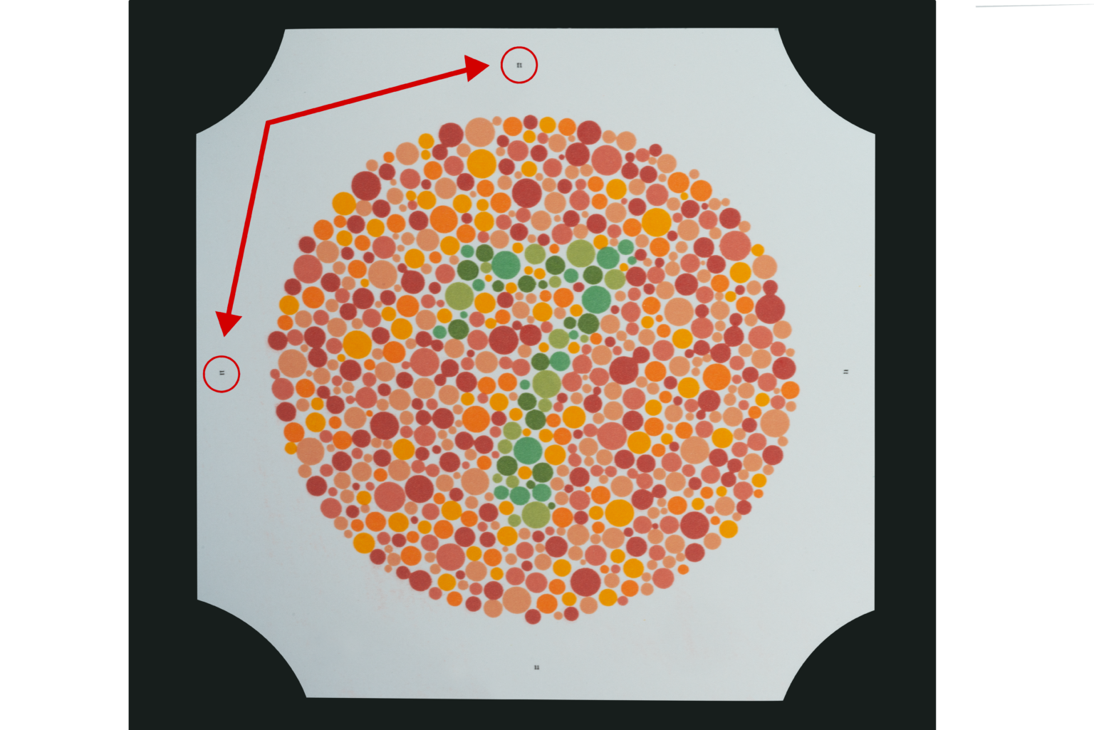 Ishihara Test Results