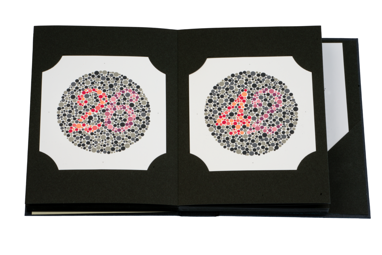 ishihara-plate-color-test-color-vision-tests-precision-vision