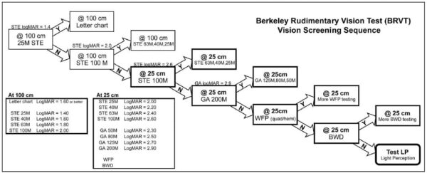 BRVT The Berkeley Rudimentary Vision Test - Image 2