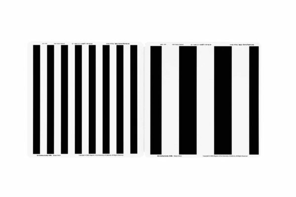 BRVT The Berkeley Rudimentary Vision Test - Image 11