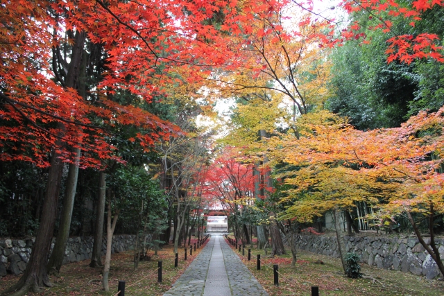 お寺へと続く道