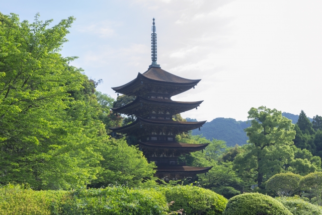 緑に囲まれる五重塔