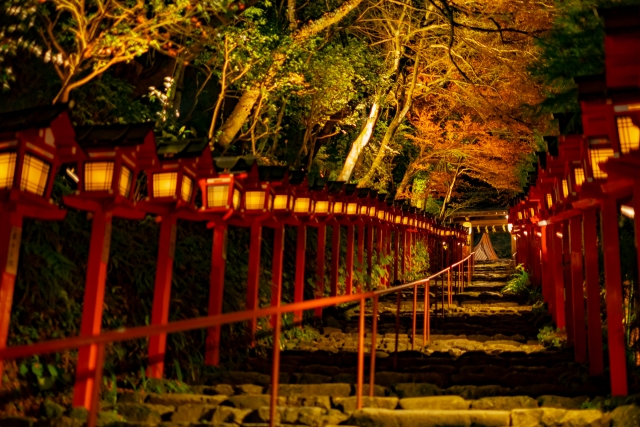 ライトアップされた神社への道