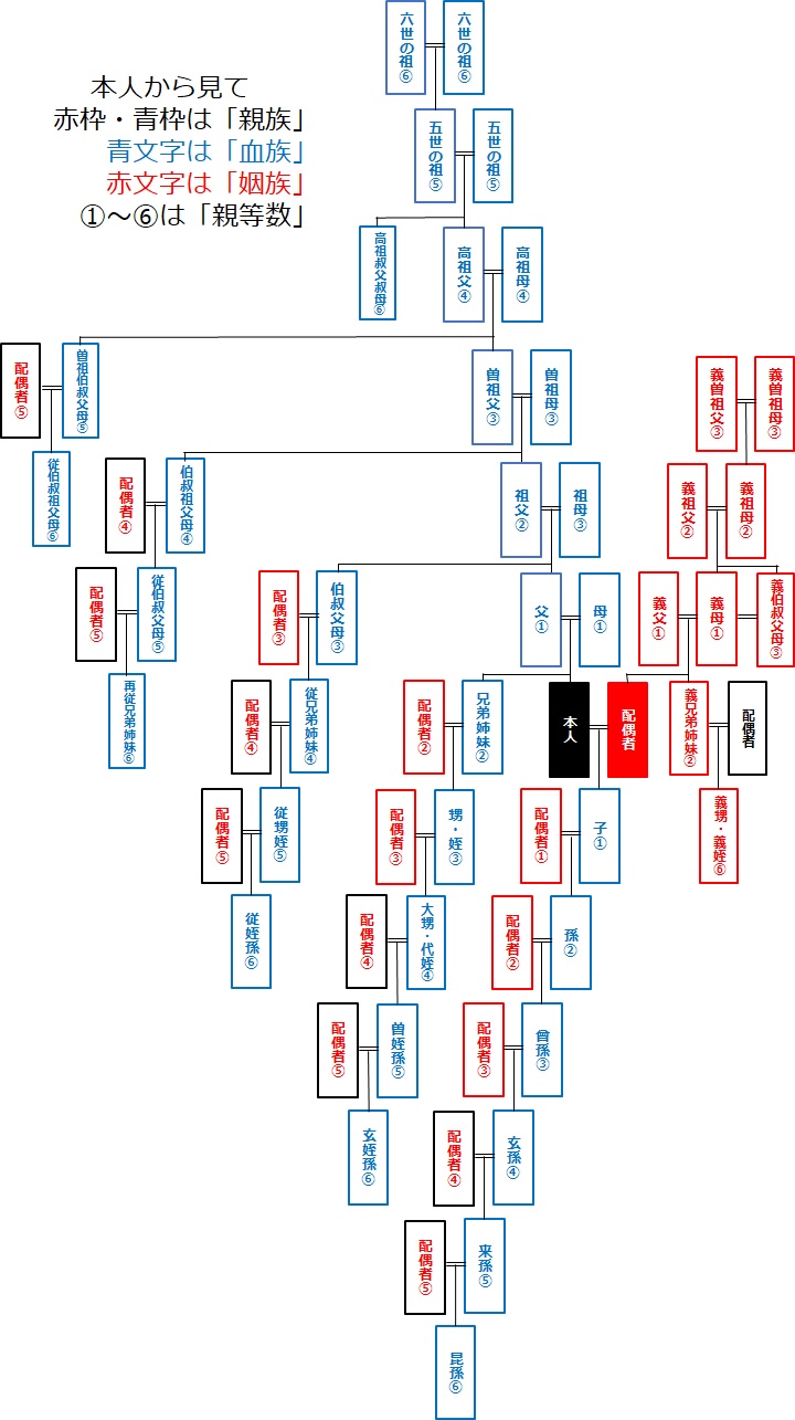 親族 とはどこまで 血族 姻族 身内 家族 親戚 直系 傍系 尊属 卑属とは そうぞくドットコム マガジン