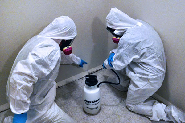 mold removal fuquay varina nc, mold removal friendship nc, mold remediation fuquay varina nc, mold remediation friendship nc, mold removal company, fuquay varina mold remediation services, friendship nc mold remediation services, fuquay varina nc restoration services, friendship nc restoration services, fuquay varina restoration company, friendship nc restoration company