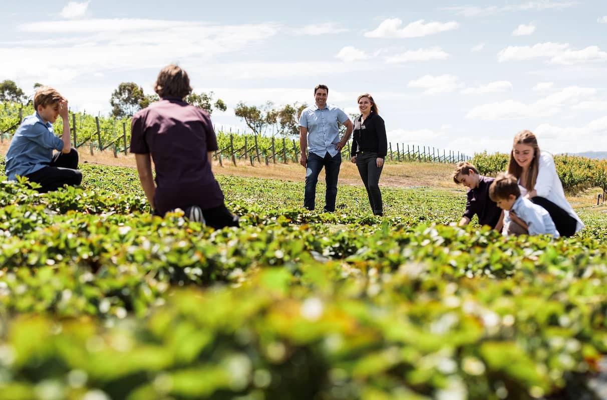 tasmanian tourism awards 2022 winners