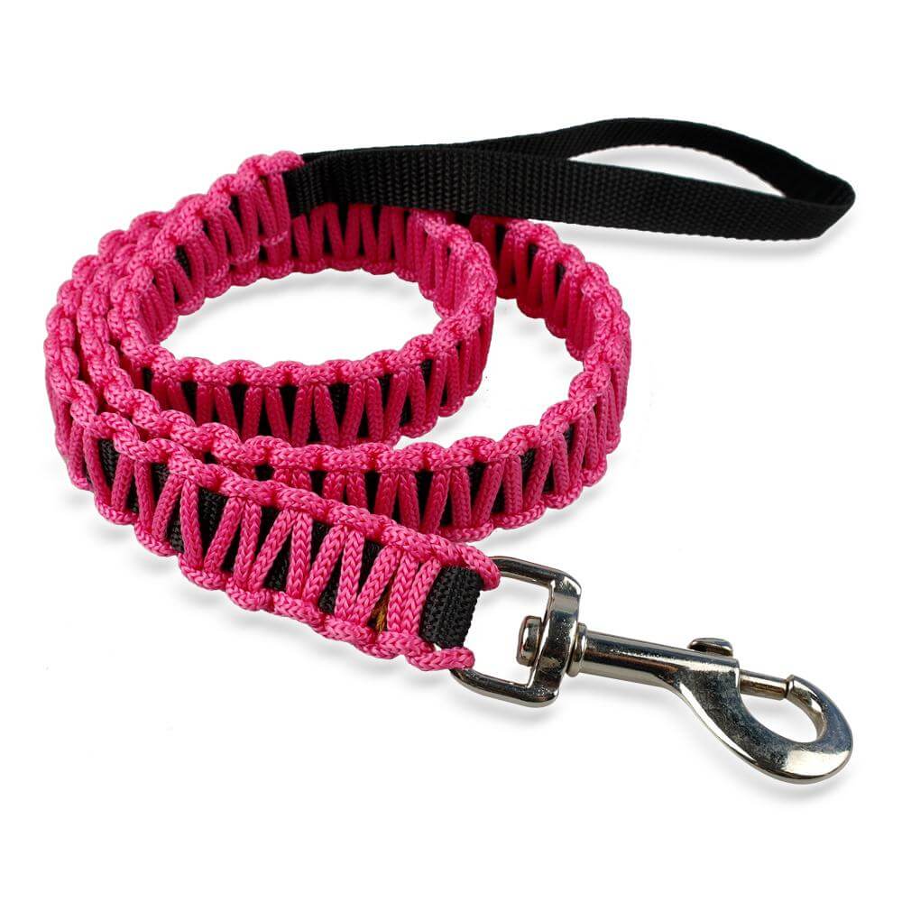 braided dog leash