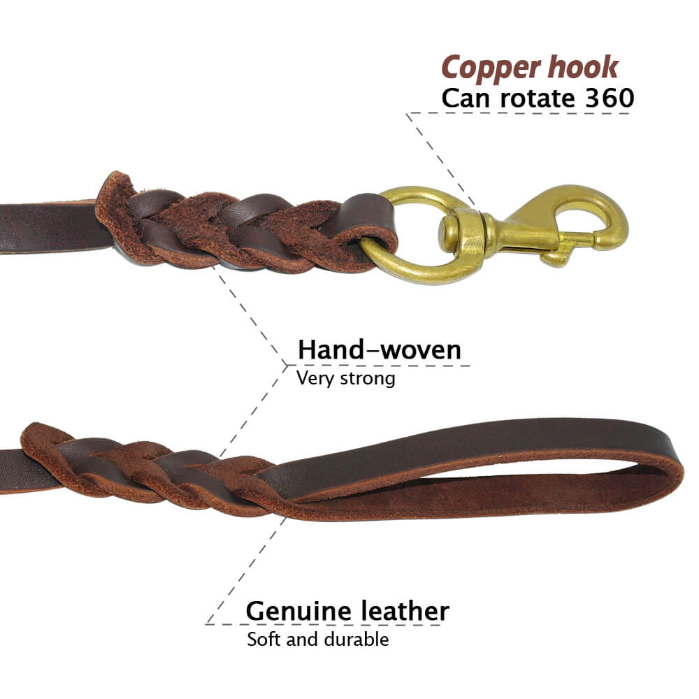 braided leather dog lead