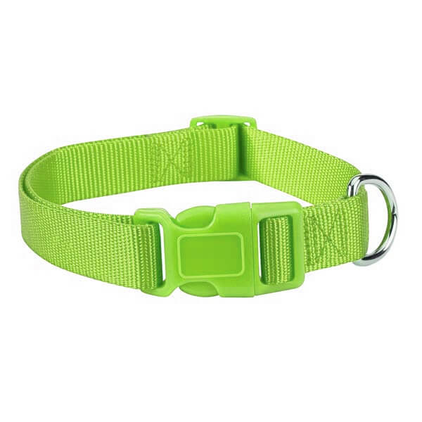 nylon dog collar