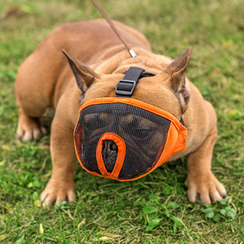 adjustable dog muzzle