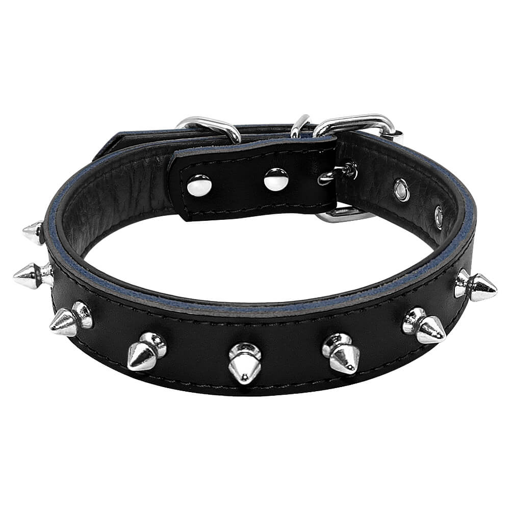 black dog collar