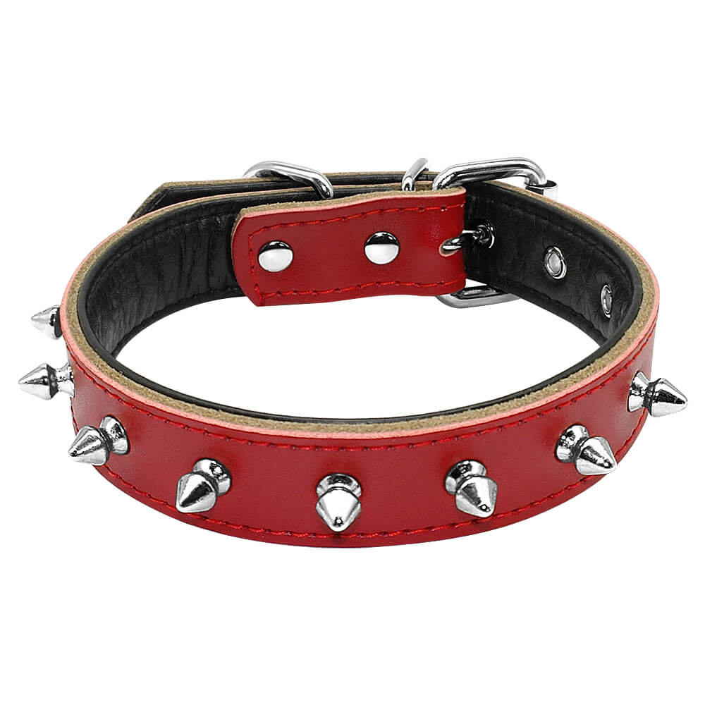 Spiked Dog Collar - Pup Headquarters