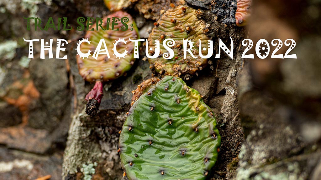 Cactus Run 2 Резултати от Cactus Run 2022