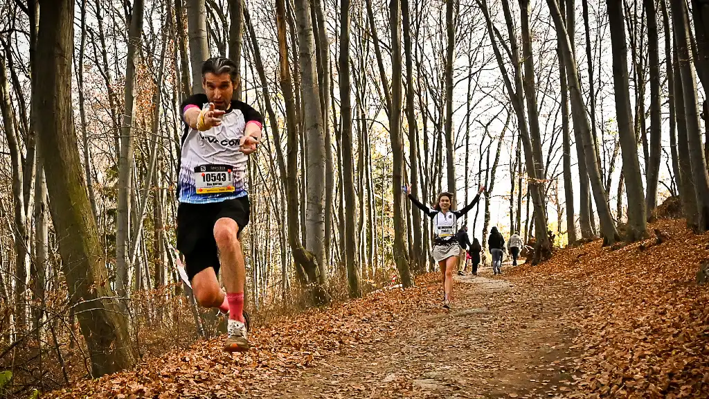 XL Бонсови поляни