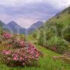 Springtime Scene In Glen Etive With River Etive Argyll