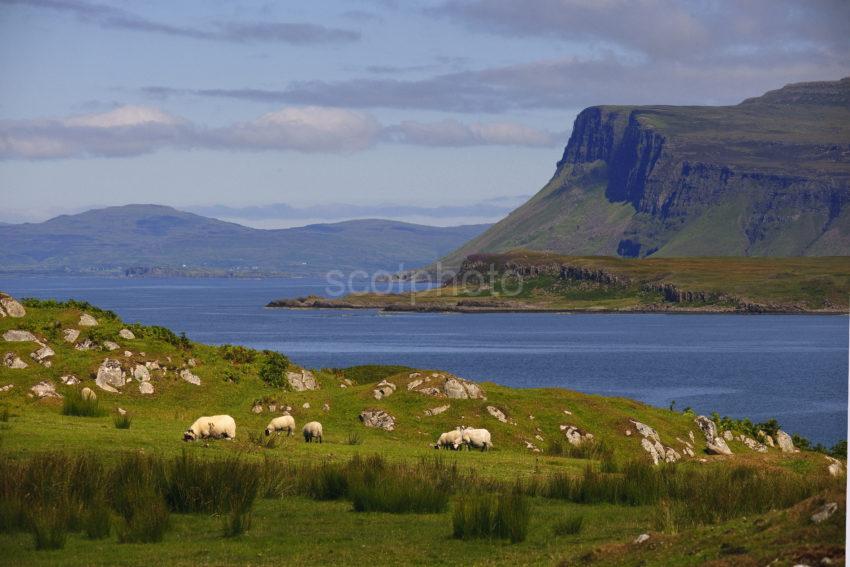 TOWARDS ARDMEANACH FROM THE ROSS OF MULL