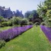 Kellie Castle From Lavender Garden Fife