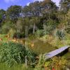 Early Autumn Nr Pond Ardmaddy