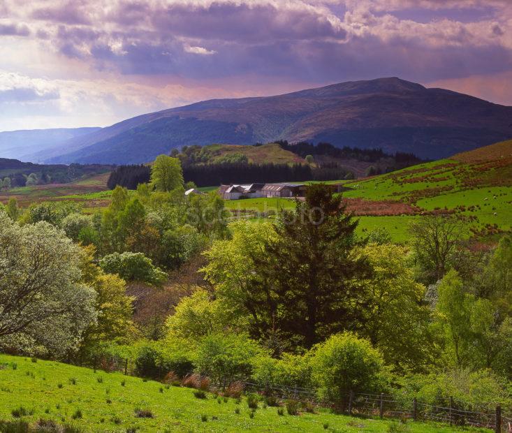 View Looking South West From Glengloy Great Glen Highlands