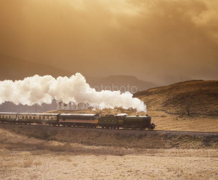 Steam Train