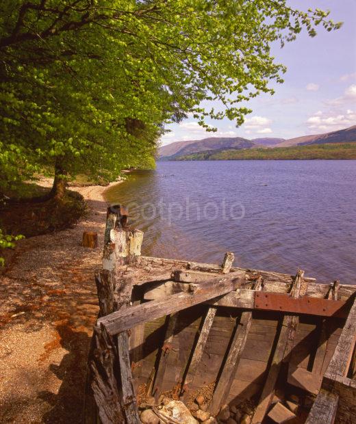 Summer On The Shore Of Loch Lochy Great Glen Scottish Highlands