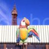 Blackpool And The Famous Parrot Atop Coral Island