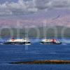 Two Ferries Pass In Sound Of Mull