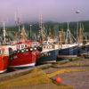 Mallaig Harbour And Fishing Fleet