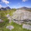 Croft Nr Glencoe With Shepherd Of Etive