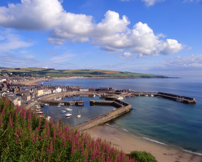 Stonehaven Harbour And Town In Summer