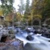 Autumn On The River Braan Towards Ossians Hall Hermitage Dunkeld Perthshire